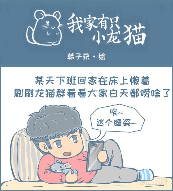 拍了龙猫半个月的睡觉萌照（上）-第296话