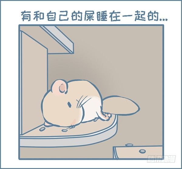 拍了龙猫半个月的睡觉萌照（上）-第296话