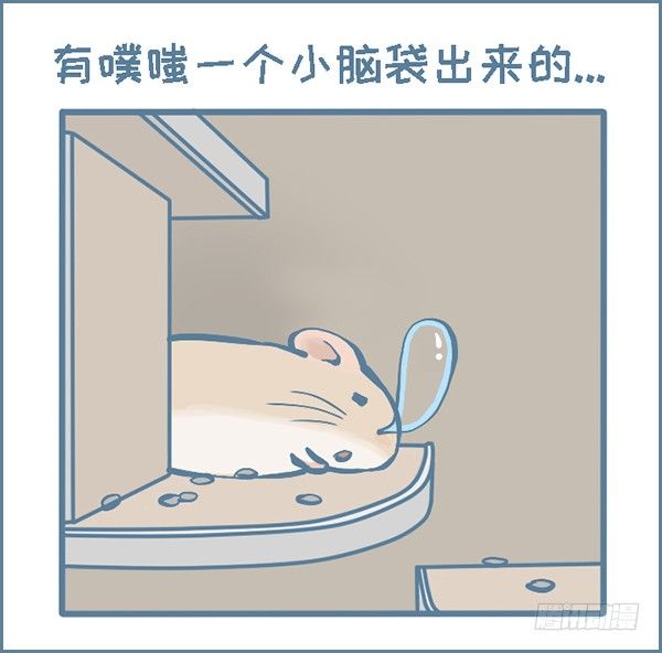 拍了龙猫半个月的睡觉萌照（上）-第296话