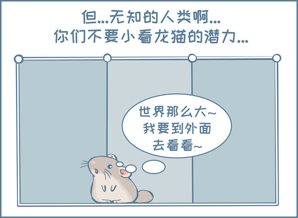 龙猫放风围栏（上）-第300话