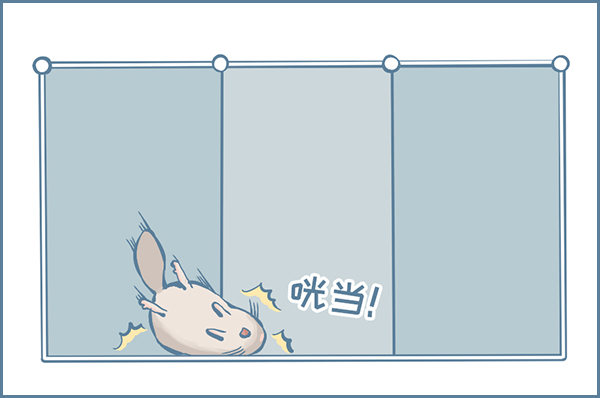 龙猫放风围栏（上）-第300话