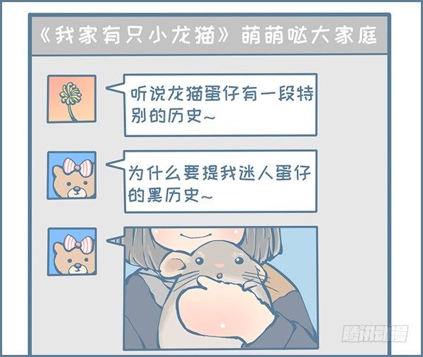 龙猫蛋仔的黑历史（上）-第302话