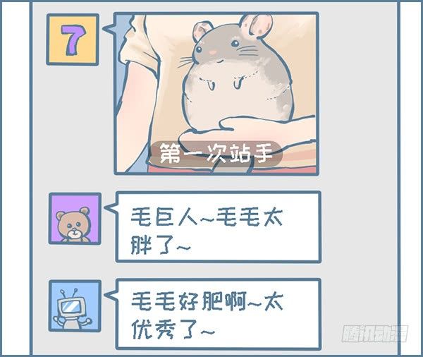 龙猫毛毛的有趣照片（上）-第304话