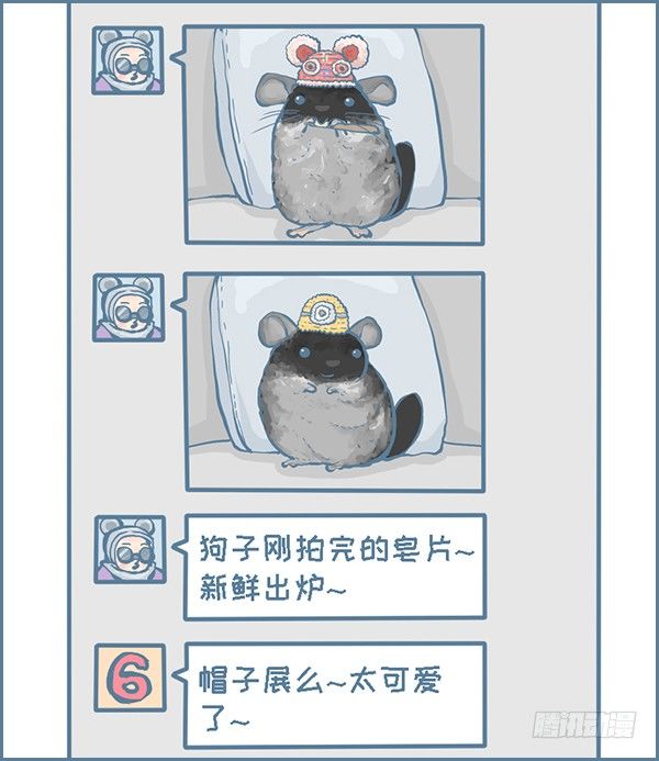 时尚的龙猫阿狗（上）-第306话