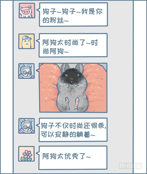 时尚的龙猫阿狗（上）-第306话