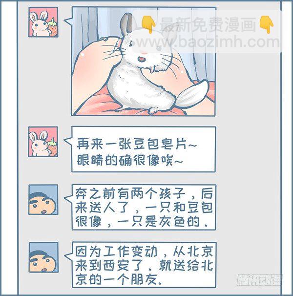 龙猫千里认亲（上）-第308话