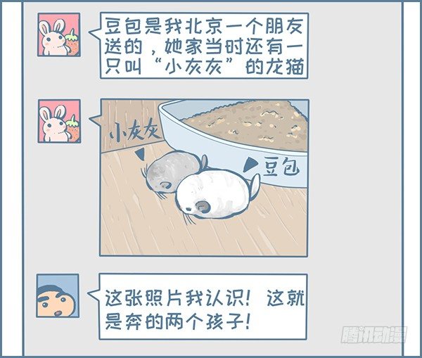 龙猫千里认亲（上）-第308话