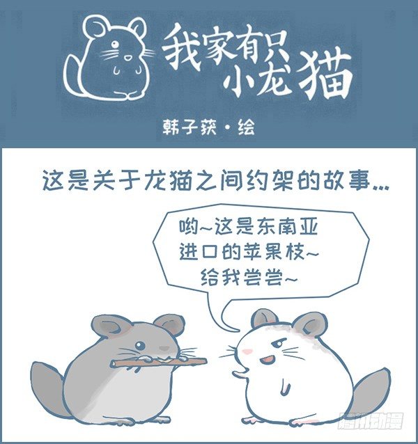 龙猫的打仗方式（上）-第310话
