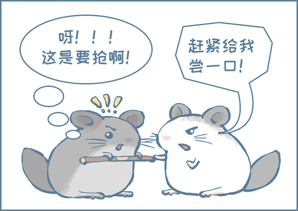 龙猫的打仗方式（上）-第310话