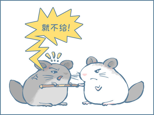 龙猫的打仗方式（上）-第310话