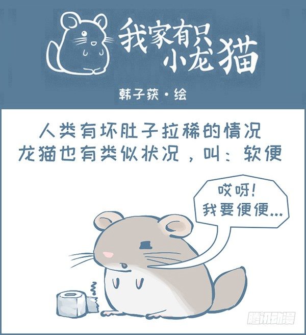 龙猫软便了（上）-第312话