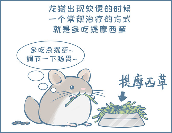龙猫软便了（上）-第312话