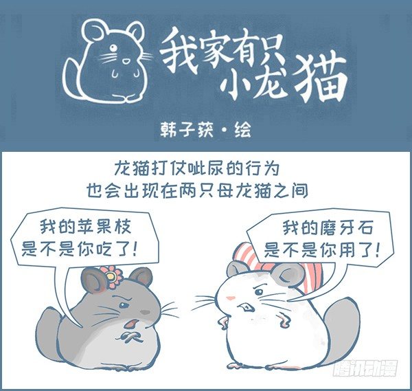 龙猫呲尿学（上）-第314话