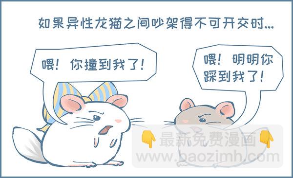 龙猫呲尿学（上）-第314话