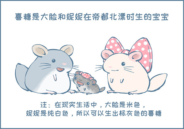 我叫喜糖（上）-第316话
