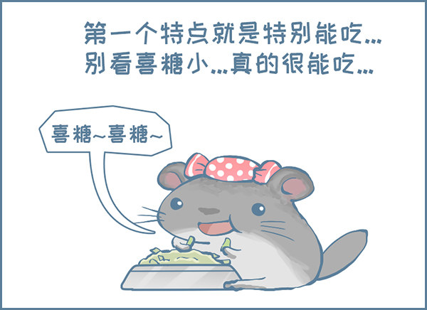 喜糖的特点（上）-第318话