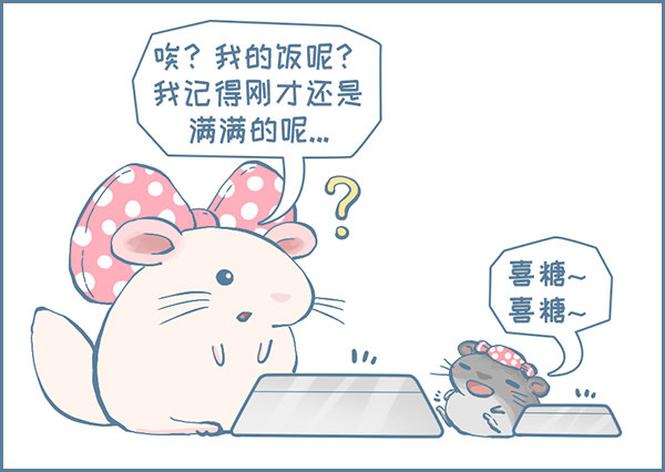 喜糖的特点（上）-第318话