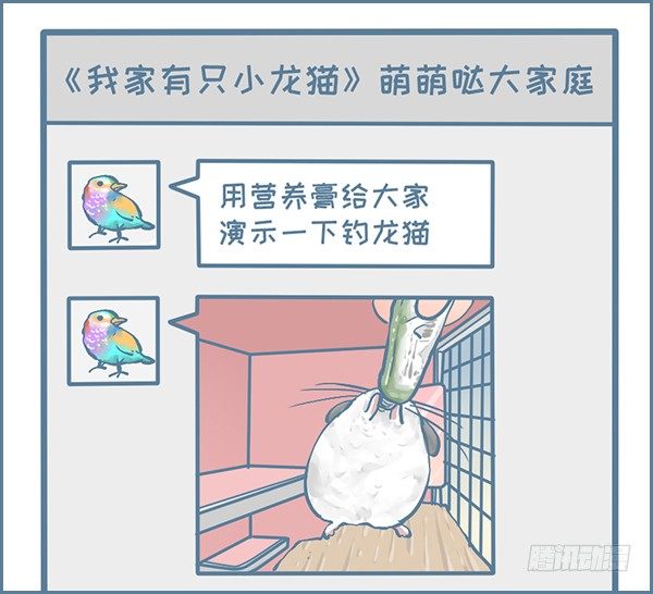 钓龙猫的故事-第320话