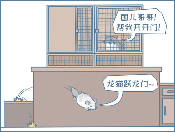 龙猫国儿&ldquo;越狱&rdquo;记（2）-第328话