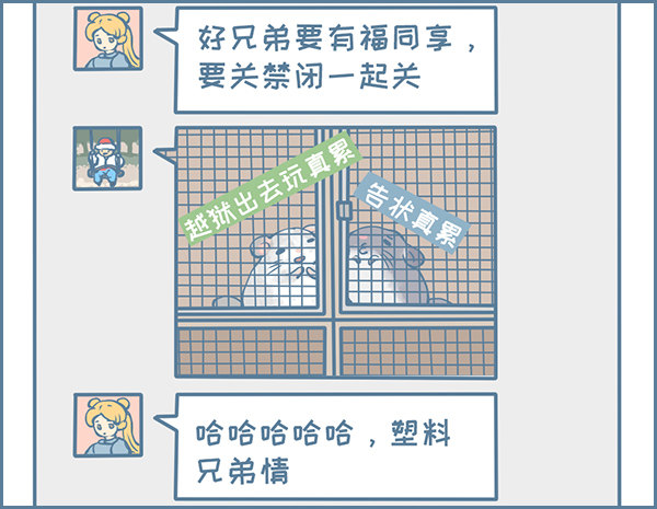 龙猫国儿&ldquo;越狱&rdquo;记（4）-第330话
