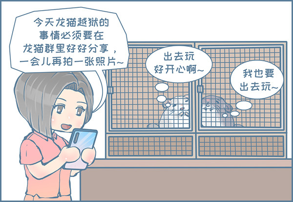 龙猫国儿&ldquo;越狱&rdquo;记（4）-第330话