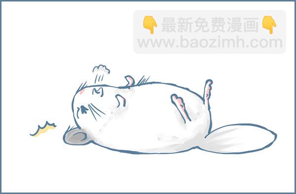 龙猫&ldquo;元宝&rdquo;的故事-2-第334话