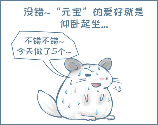 龙猫&ldquo;元宝&rdquo;的故事-2-第334话