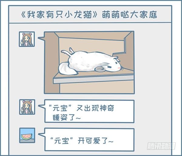 龙猫&ldquo;元宝&rdquo;的故事-4-第336话