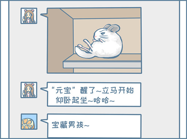 龙猫&ldquo;元宝&rdquo;的故事-4-第336话