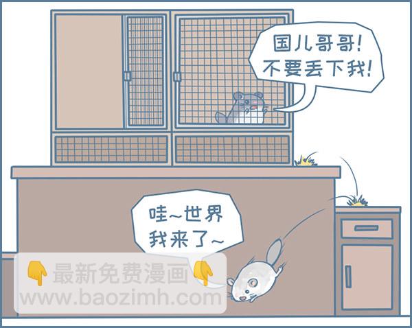 龙猫军军告状（2）-第340话