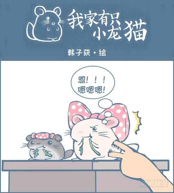 佛系妮妮（下）-第344话