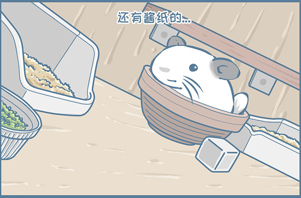 龙猫多肉的日常-第346话