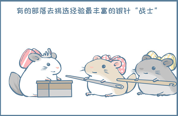 鼠年龙猫族的礼物（3）-第350话