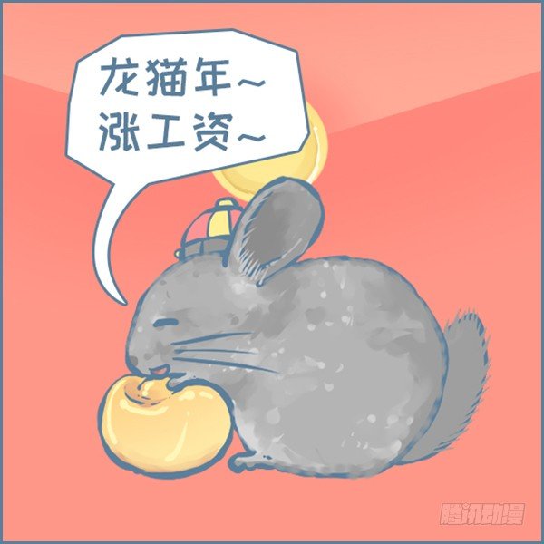 真实世界龙猫的祝福（上）-第354话