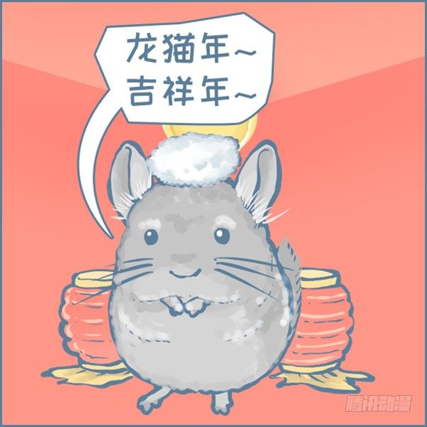 真实世界龙猫的祝福（上）-第354话