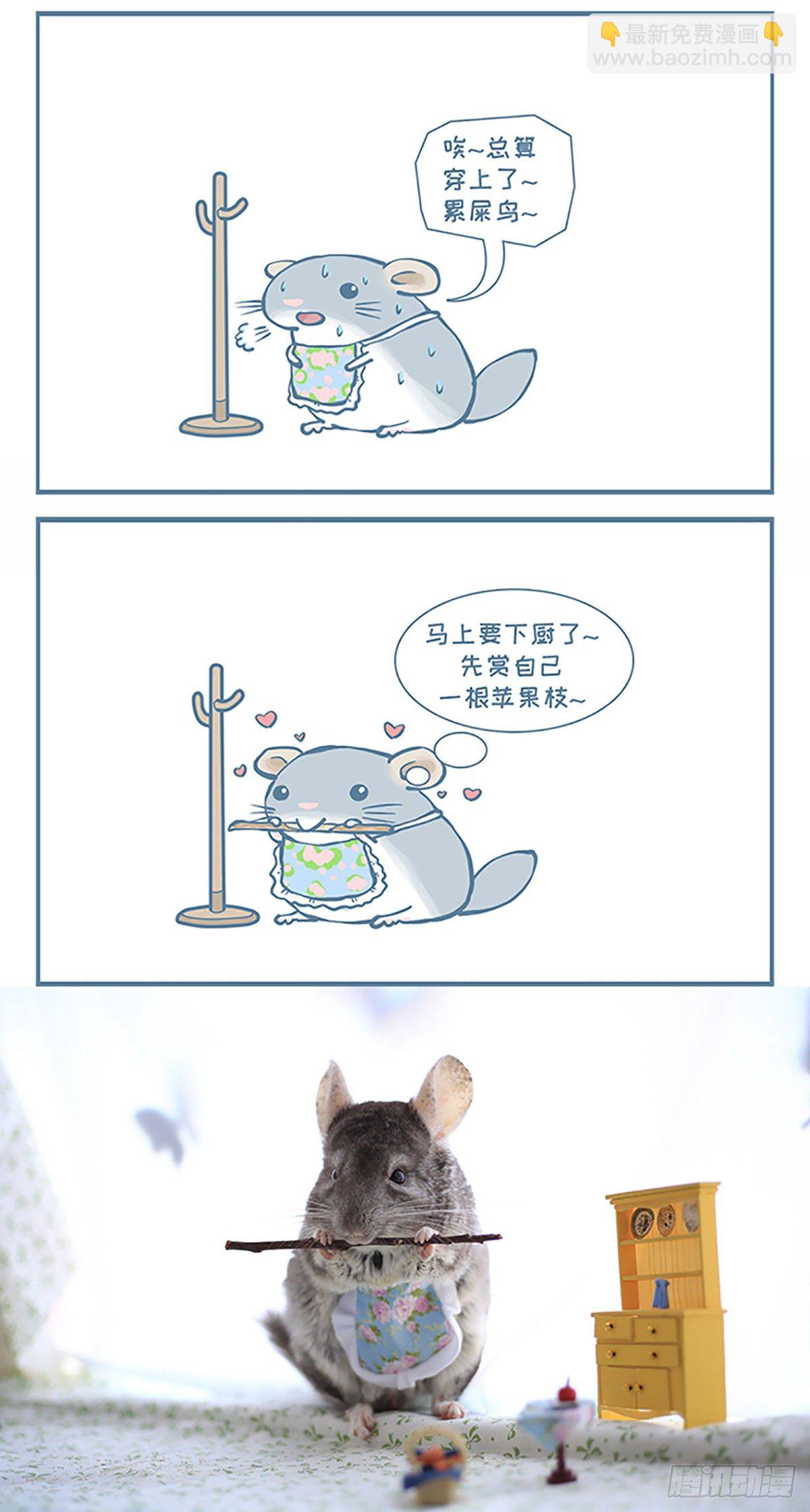 龙猫&ldquo;大脸&rdquo;要下厨了（上）-第360话