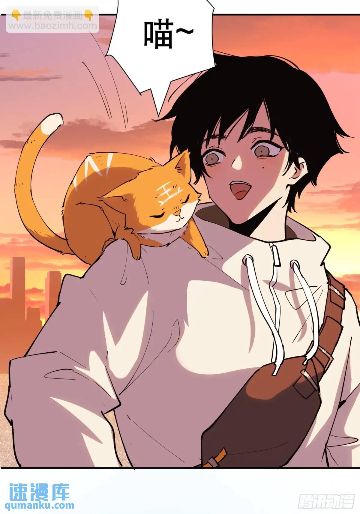 22-强力猫猫也有苦(1/2)-第22话