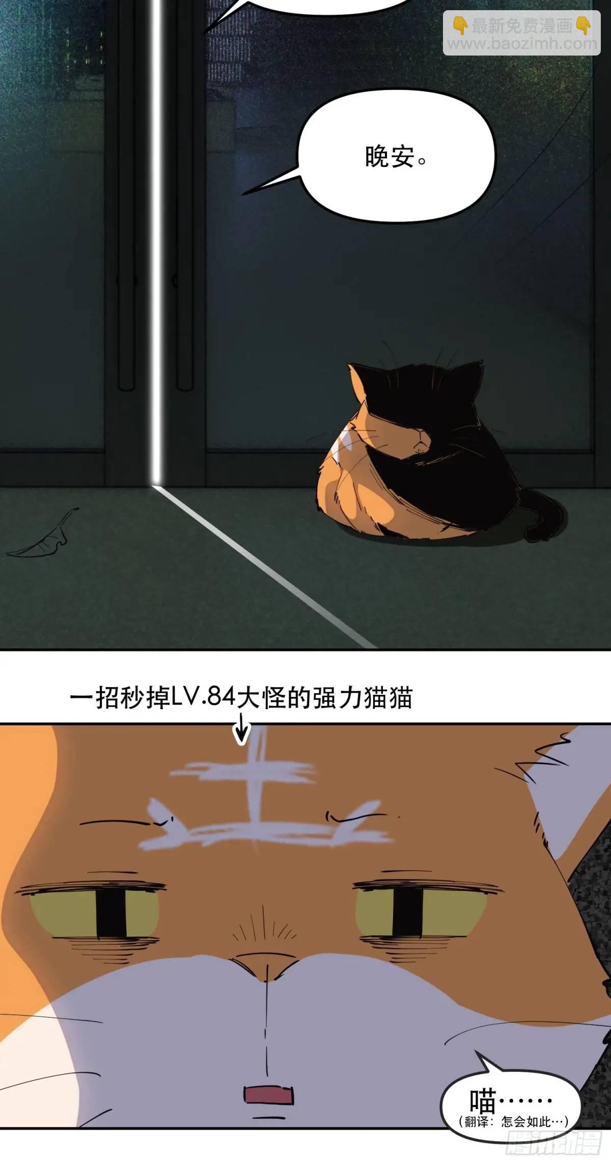22-强力猫猫也有苦(1/2)-第22话