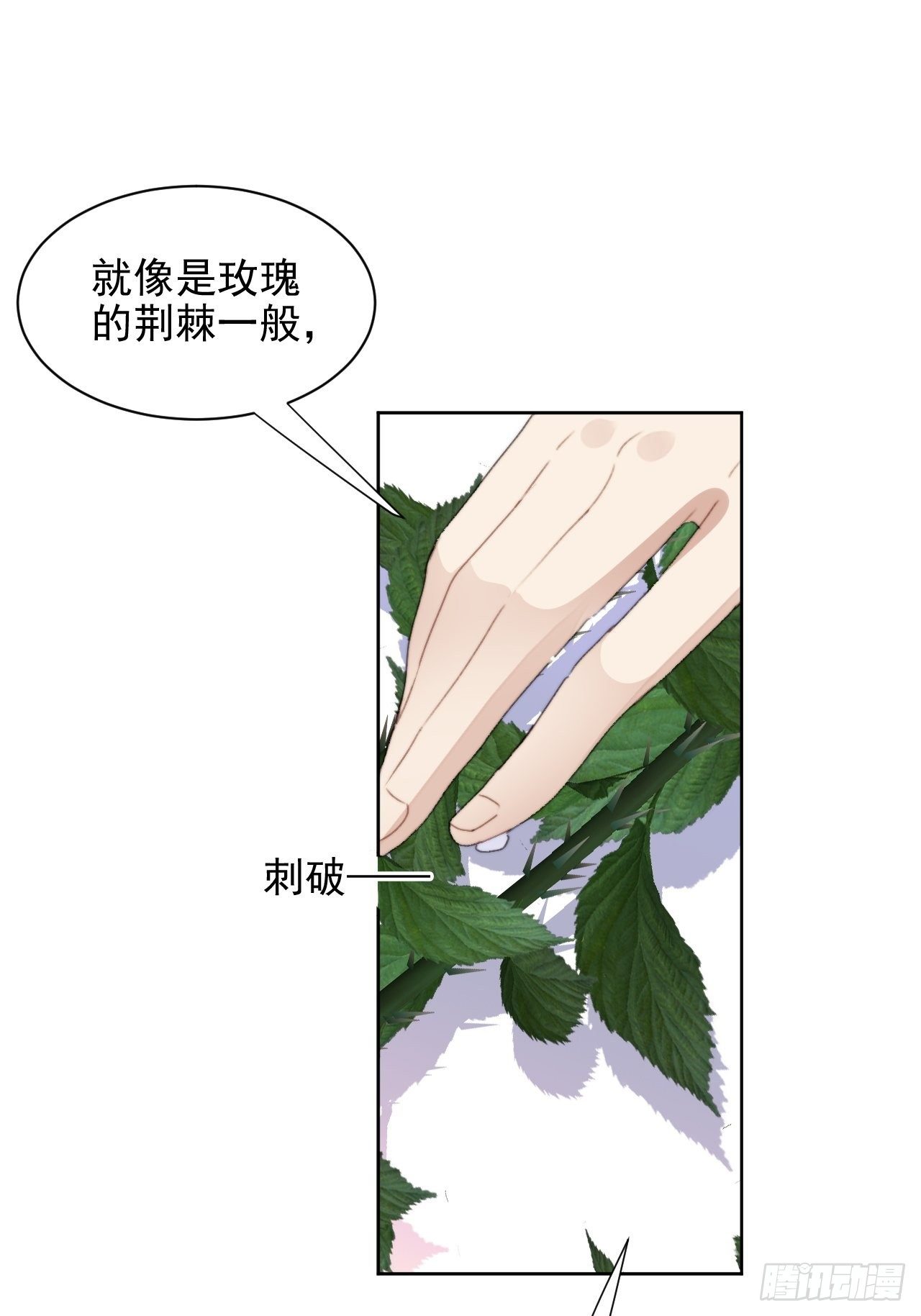 第33话 玫瑰美人-第34话