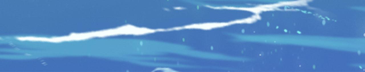 第310话 傲娇的黑龙(1/2)-第312话
