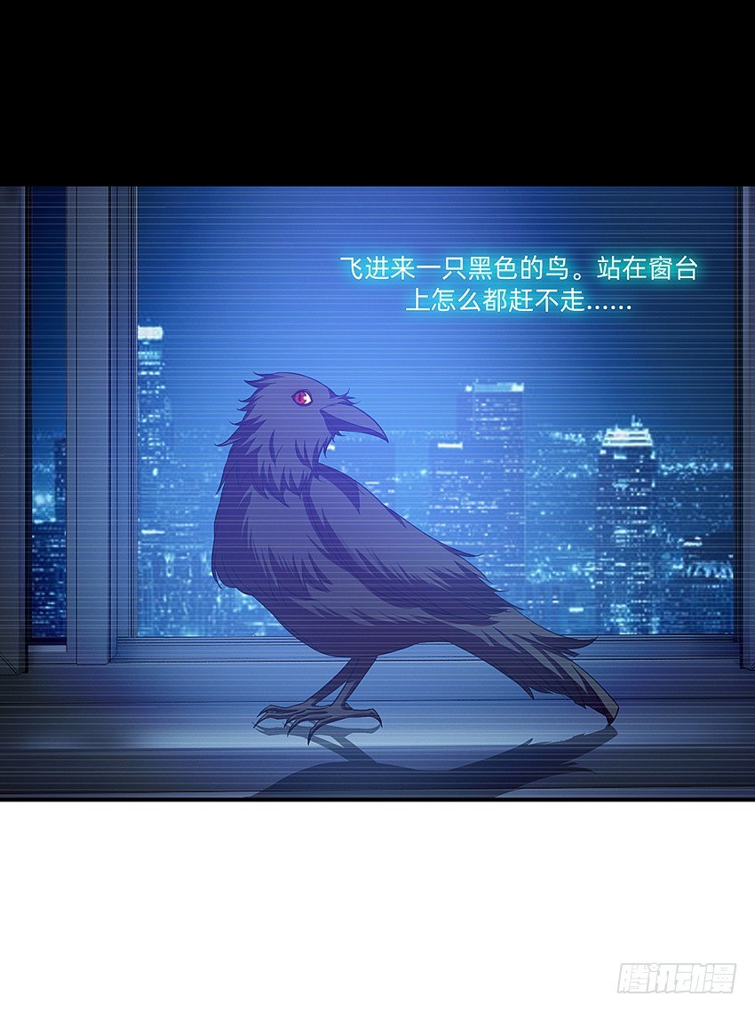 神秘的黑鸟-第22话