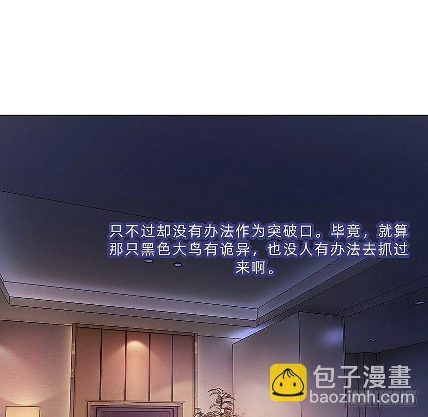神秘的黑鸟-第22话