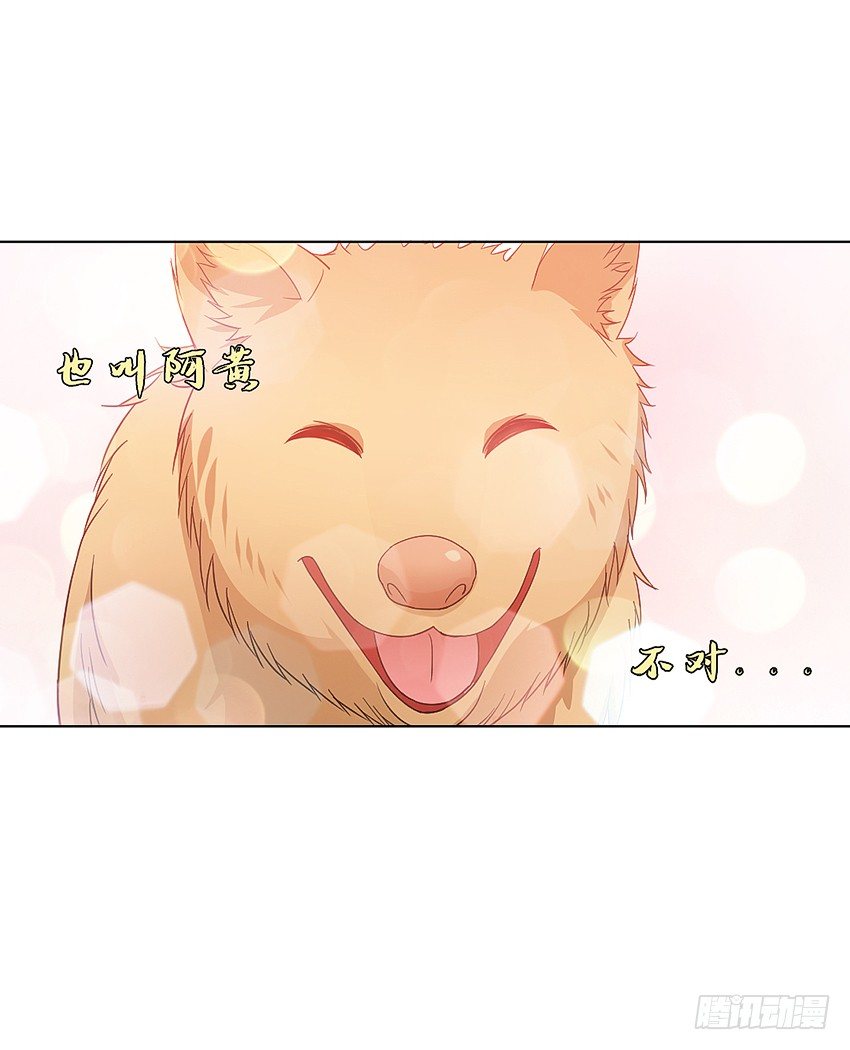 神秘的黑鸟-第22话