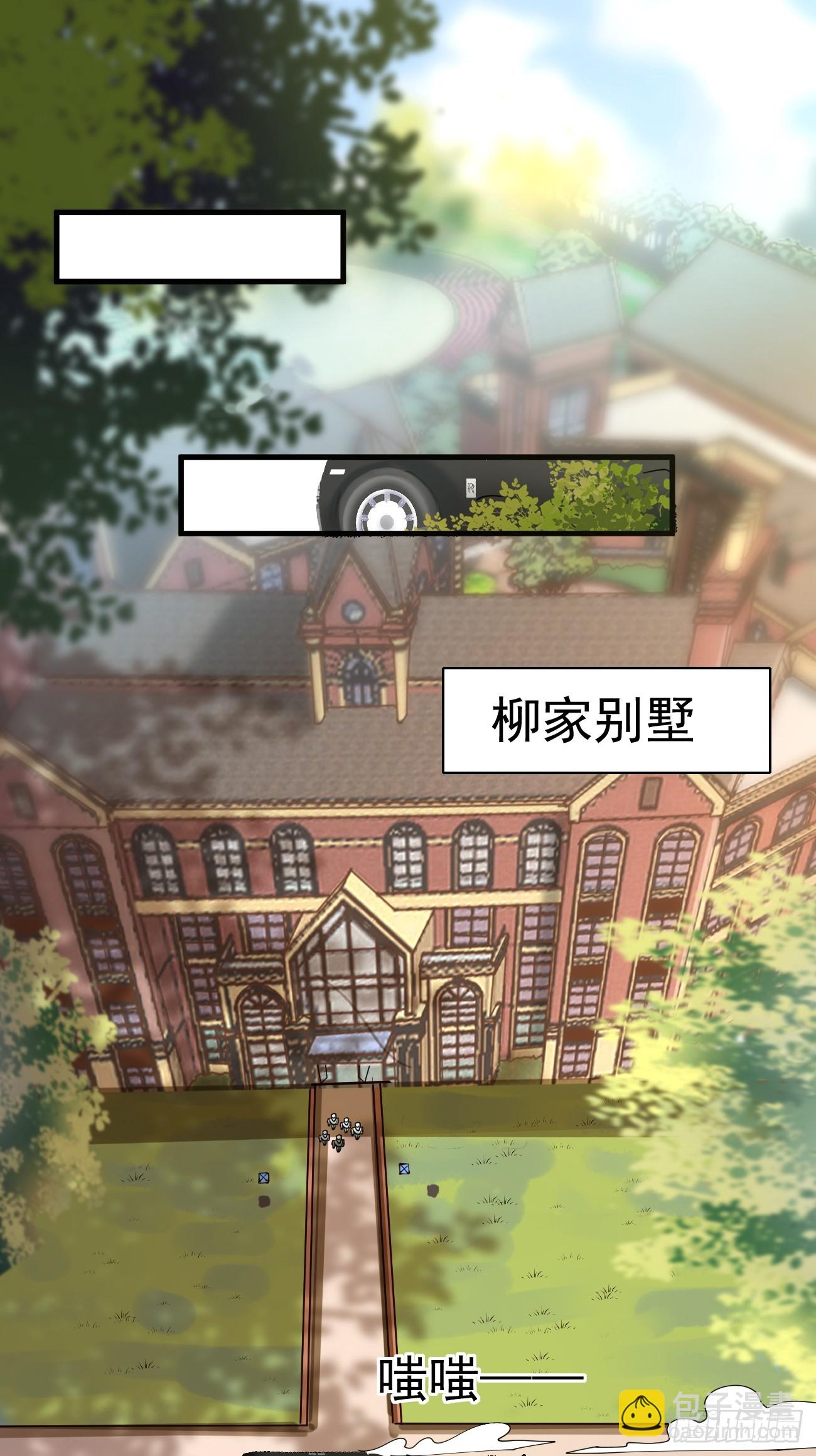 第117话 叶枫的真实身份-第118话