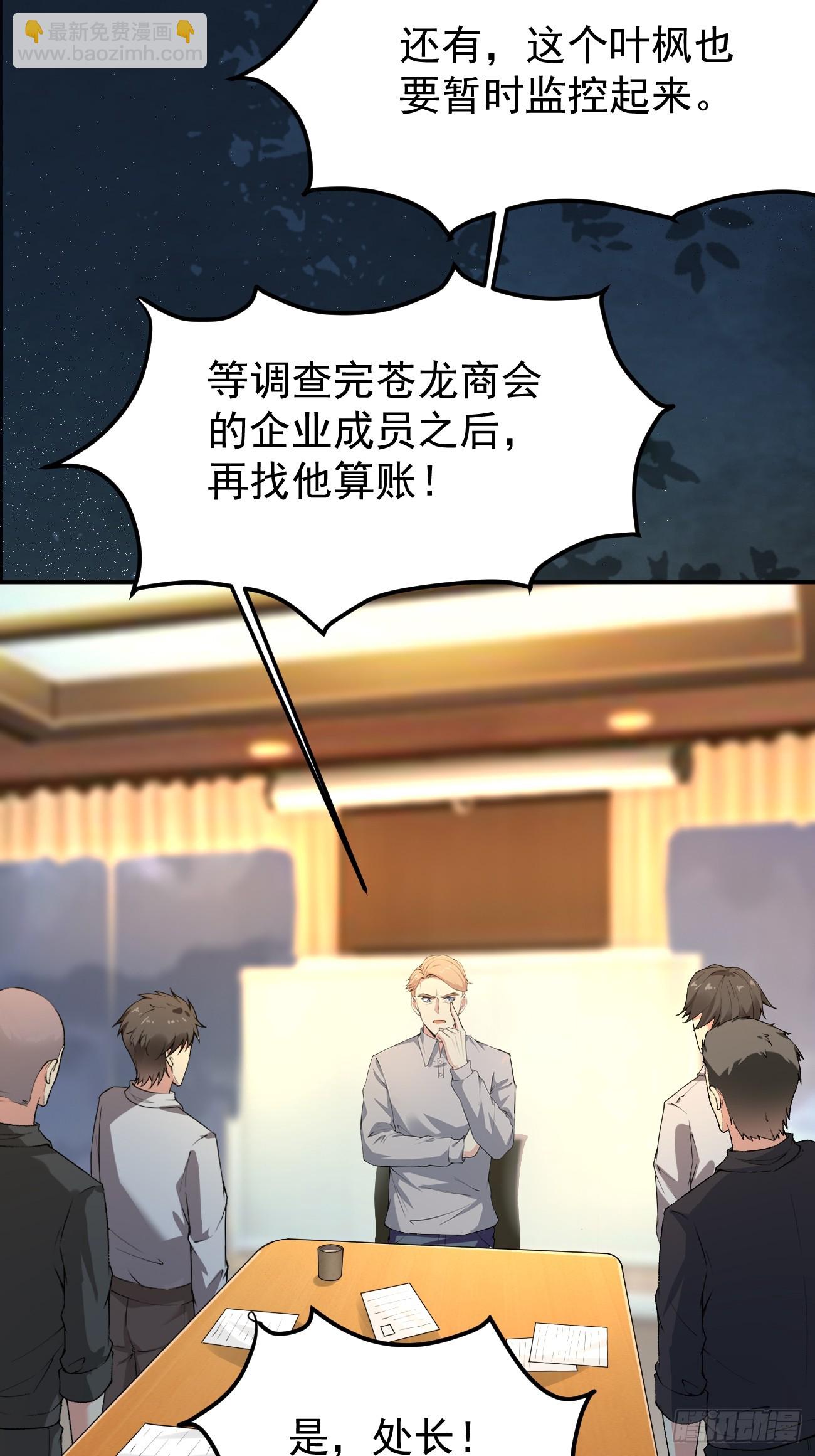 第117话 叶枫的真实身份-第118话