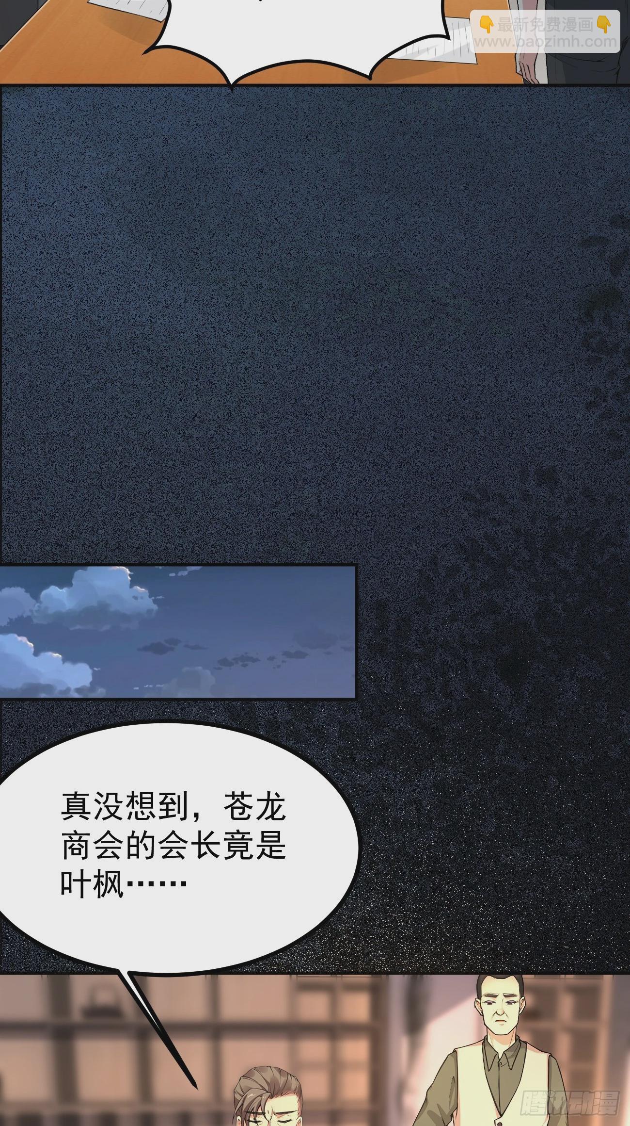 第117话 叶枫的真实身份-第118话