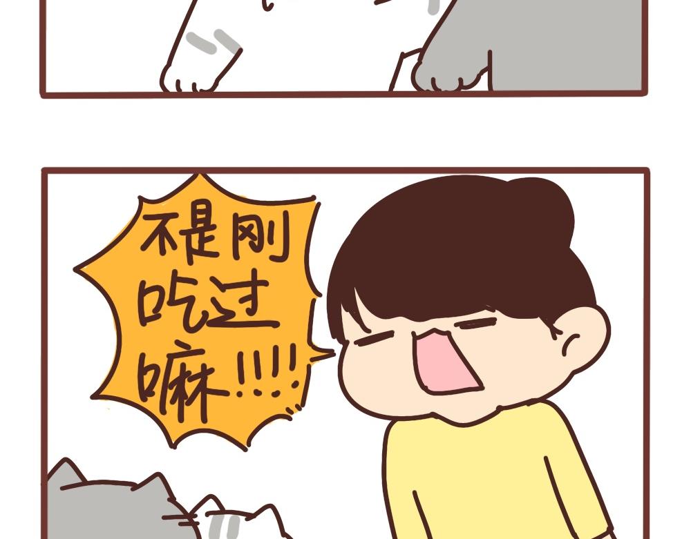 爱吃饭的小猫咪-第38话