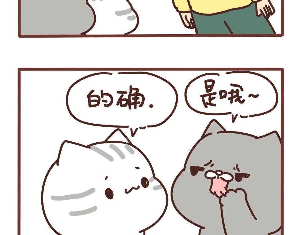爱吃饭的小猫咪-第38话