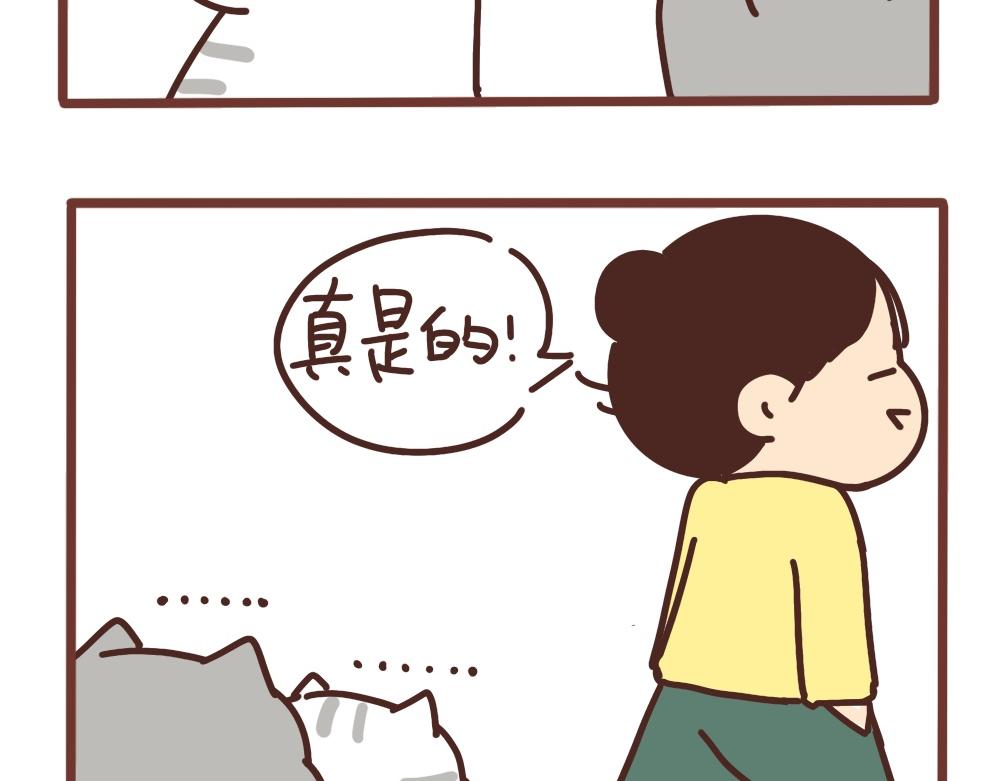 爱吃饭的小猫咪-第38话