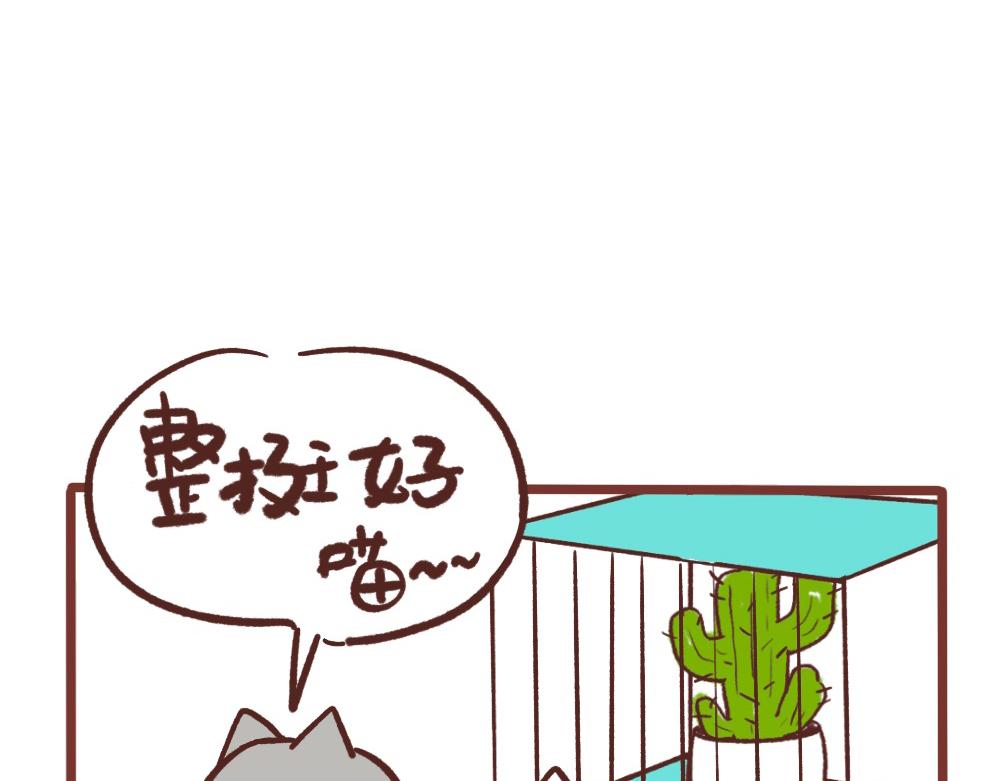 令人头疼的小事-第48话